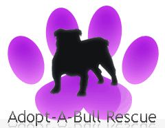 Adopt-A-Bull Rescue