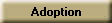 Adoption