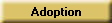 Adoption