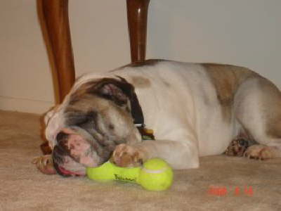 Winston