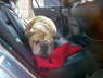 Betty