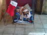 GeorgeSanta