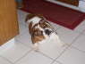 Juliette