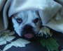 Lucy