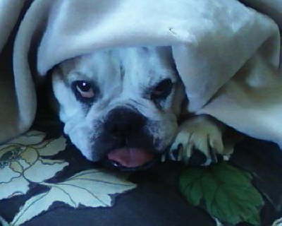 Lucy