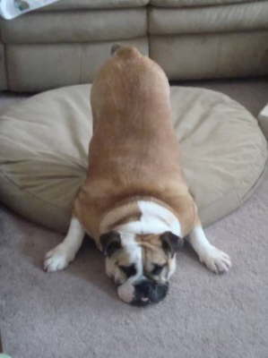 Petey