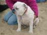 Roxy
