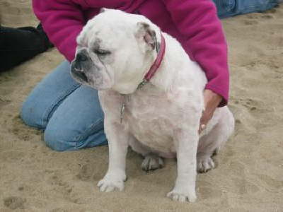 Roxy