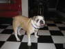 Zoey