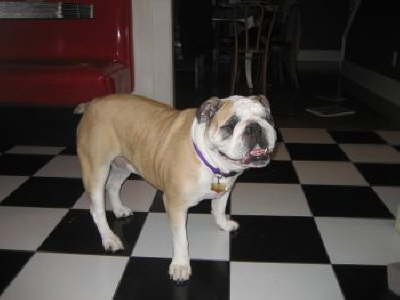 Zoey