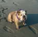 Leah