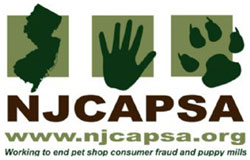 njcapsa