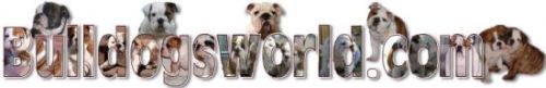 Bulldogsworld